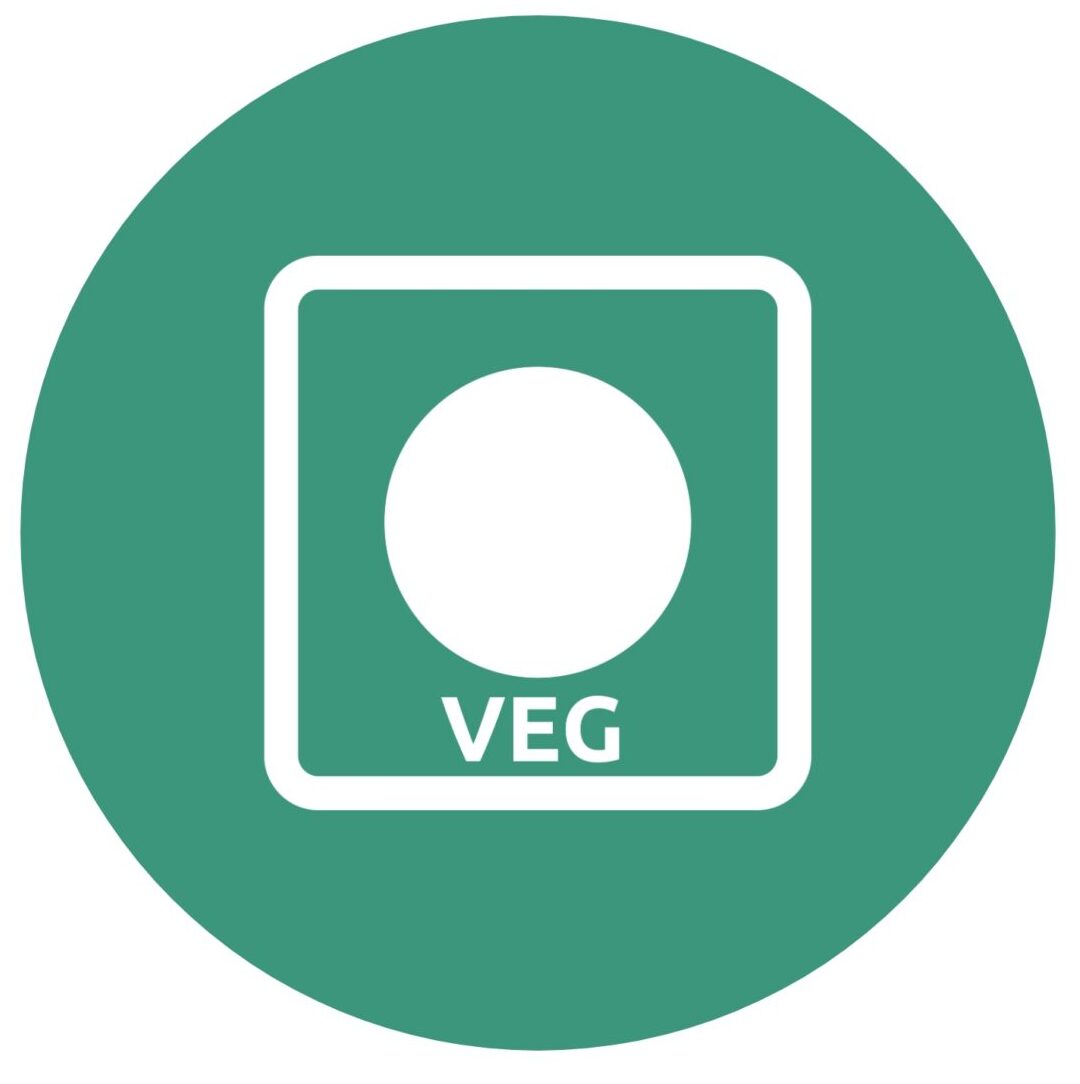 Green vegetarian symbol with a leaf design indicating vegetarian-friendly product
